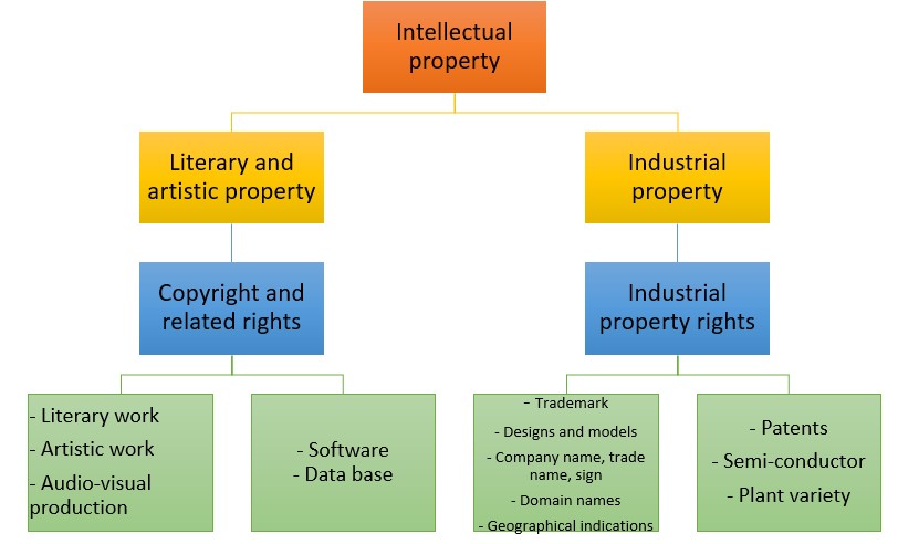 Intellectual store property definition