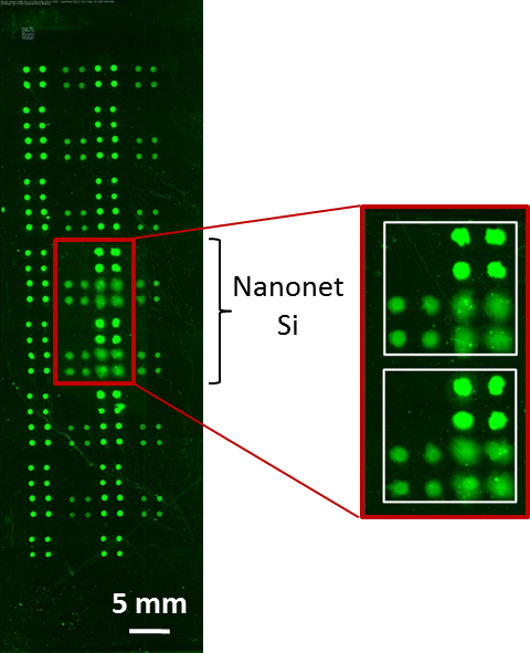 2D Nanonets_______________________________________________________ By ...